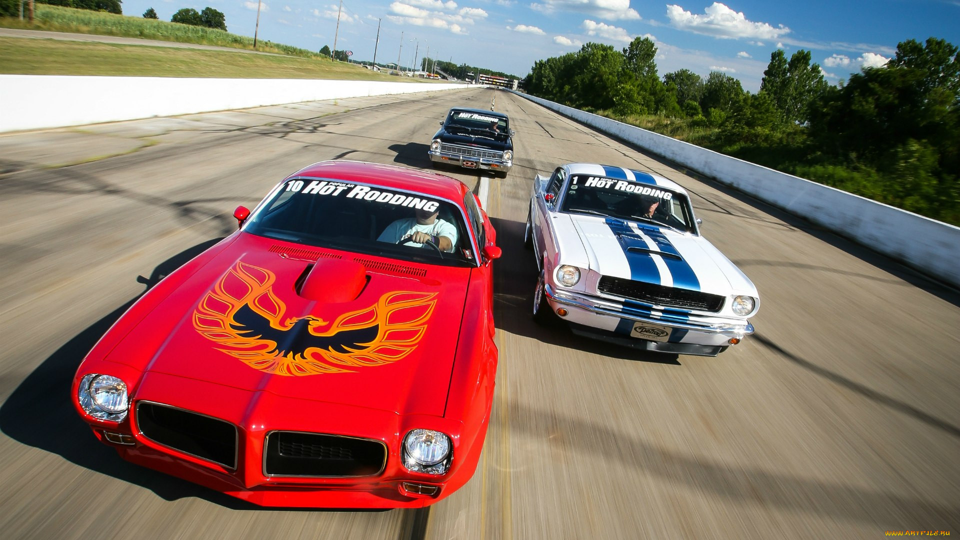 , , , shelby, gt350, chevrolet, nova, mustang, ford, trans, am, firebird, pontiac